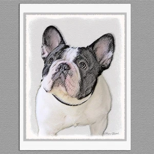 6 Französische Bulldogge Frenchie gestromt Ratten leere Kunst Notiz Grußkarten - Bild 1 von 1