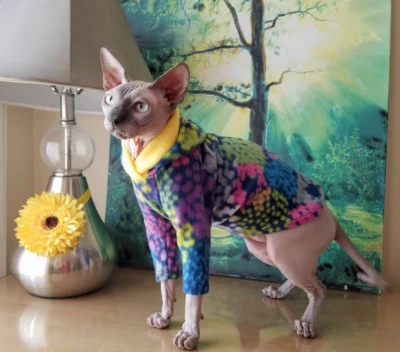 Vibrant Fleece Hoodie for Cats - SMALL, Cozy Pajamas in Multicolor Pattern - Image 1 of 4