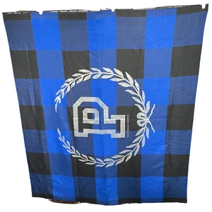 Vintage Victoria’s Secret PINK Blanket Throw Blue Plaid Fringe Printed Logo Soft - Picture 1 of 11