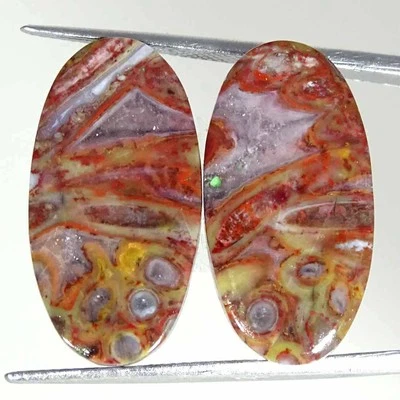 22.30Cts Natural Red Palm Root Agate Oval Pair Cabochon Loose Gemstone 13x24x4mm - Image 1 of 4