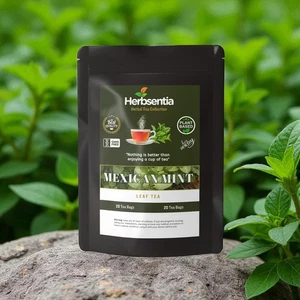 Mexican Mint Tea - Digestive and Respiratory System (Premium) - Picture 1 of 6