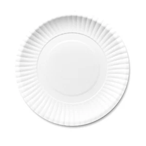 200 Environmentally Friendly Disposable Paper Trays 6 Inches - Picture 1 of 7