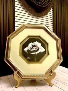 Beautiful Vintage Rose Black & White Octagon Matted Framed Art Print - Picture 1 of 7