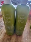 JAFRA Lot Of 2 Royal Olive Moisture Rich Body Cream with Olive Oil & Vitamin E 