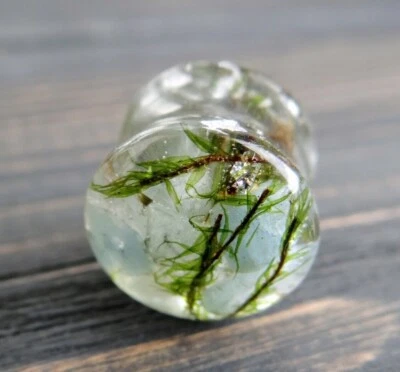 Pair Aquamarine gauges Blue Stone ear plugs and tunnel Gemstone Birthstone gift - Image 1 of 4