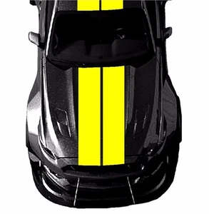 Fits Ford MUSTANG Rally Center RACING STRIPES 12" Double Vinyl Decal Graphics - Picture 1 of 23