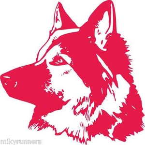 Cane Dog Stickers-Adesivo Prespaziato decorazioni stampe auto moto casa - Foto 1 di 1