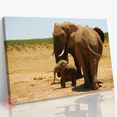 Elephant Family Animal Nature Photography Living Room Wall Art Canvas Print - Image 1 of 4