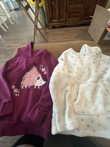 4T Hoodies - Picture 1 of 6