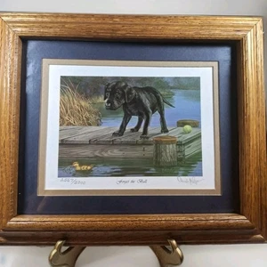 Vergiss den Ball David Maass signierter nummerierter Druck Labrador Ente 1993 gerahmtes Passepartout - Bild 1 von 12