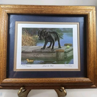 Alfombra enmarcada Forget the Ball firmada por David Maass impresión numerada pato labrador 1993 Foto 1 de 4