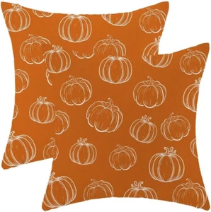 Fall Pillow Covers 20 X 20 Inch Set of 2 for Fall Decor Throw Pillow Covers Oran - Picture 1 of 5