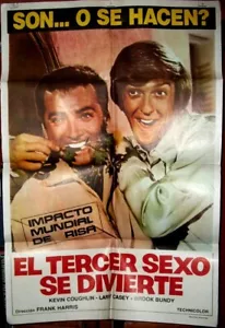 THE GAY INGANNEIVERS!!! Poster film originale 1969 KEVIN COUGHLIN LAWRENCE CASEY - Foto 1 di 1