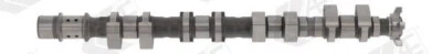 AE CAM1012 Árbol de Levas para Buick ( Sgm ), Chevrolet, Chevrolet Holden, Opel - Imagen 1 de 4