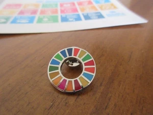 Pin Vereinte Nationen UNO 17 Ziele Nachhaltigkeit United Nations Sustainability - Bild 1 von 2