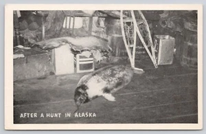 Seal Hunt in Alaska AK Postcard - Picture 1 of 2