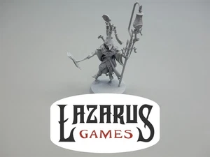 Warhammer FB Hochelfen AoS Orden Lumineth Realm-Lords: Scinari Calligrave  - Bild 1 von 5