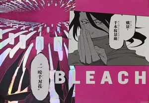 Byakuya Kuchiki "BLEACH THE LOCUS OF BRAVE A3 Metallic Poster Collection vol.1" - Picture 1 of 1