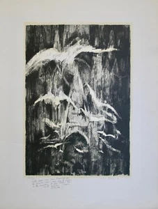 Jean breant - Stampa Originale - Litografia Firmato - Cattedrale Rouen - Picture 1 of 3