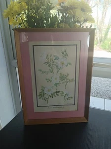 Watercolour Painting Of A Rosa Schneezwerg Flower By G.E.Cross 1975 Framed - Picture 1 of 12