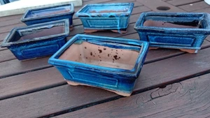 Blue Rectangular Glazed Bonsai pots 15 cm x 10 cm without drip tray - Picture 1 of 7