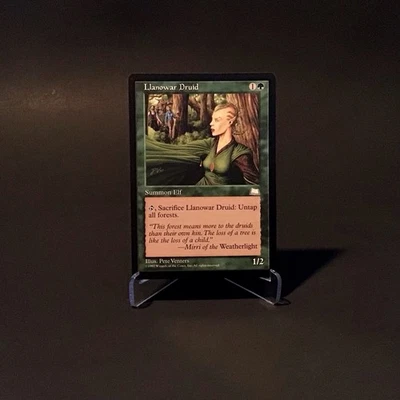 Magic: The Gathering Llanowar Druid MTG Weatherlight Vintage 1997 NM - Image 1 of 2