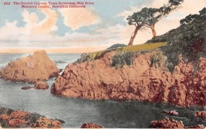 Logotipo de la Exposición Internacional California Scenery Panamá Pacífico California - Imagen 1 de 2