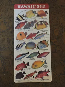 "Guía de peces de arrecife de Hawaii de colección identificación de peces impermeable buceo 4x9"" య" - Imagen 1 de 6
