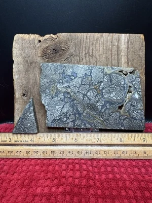 Nipomo Marcasite Agate Slab 163 Grams 4.5”x 2.75”x 6mm. Rare California Material - Image 1 of 4
