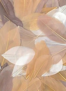 Plumas Cortadas Camaieu Beige 10G 6Cm - Imagen 1 de 2
