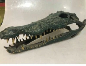 Pequeño cráneo de cocodrilo sólido 100% latón pesado estatua hecha a mano 23 cm verde envejecido B - Imagen 1 de 7