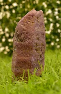 100% Natural Mozambique Red Ruby Unheated Loose Big Size Raw Rough 1475.00 Ct - Picture 1 of 8
