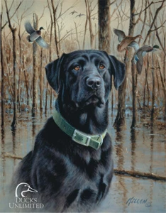 Ducks Unlimited Tin Sign 1203 - Picture 1 of 1