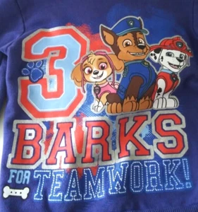 Nickelodeon Paw patrol Boys Size 4T Sweatshirt Blue Long Sleeve Hoodie Dog Ears - Picture 1 of 11