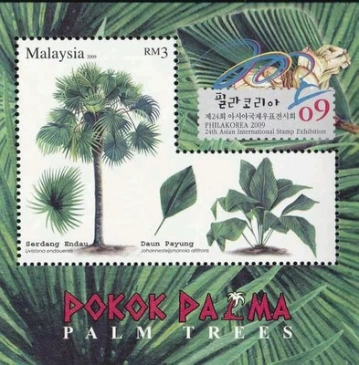 *FREE SHIP Malaysia Palm Trees Flower Plant 2009 (Korea o/p) MNH *odd *unusual - Image 1 of 4