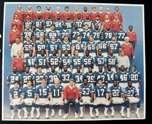 1987 New York Giants Team Photo Souvenir ~ The Record Super Bowl Homecoming ~ - Picture 1 of 3