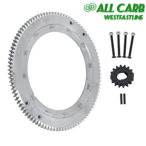 Engranaje de anillo de volante para Briggs & Stratton 399676 150-435 392134 696537 28N707 - Imagen 1 de 12