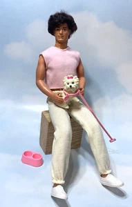 1986 Jewel Secrets Ken Doll wearing Pet Show Fashion- Rocker face mold - Picture 1 of 3