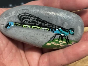 Handgemalter Felsen Stein Miniatur Kunstwerk Libelle Malerei Kunst Felsen - Bild 1 von 5