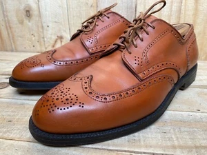 Alden #966 Wingtip Blucher Oxford Burnished Tan Aberdeen Last Calf Sz - 10 C/E - Picture 1 of 11