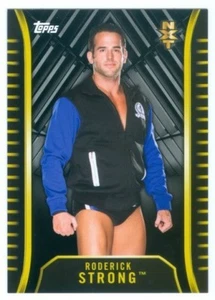 RODERICK STRONG "SILVER BASE CARD /25" TOPPS NXT WRESTLING 2018 - Picture 1 of 1