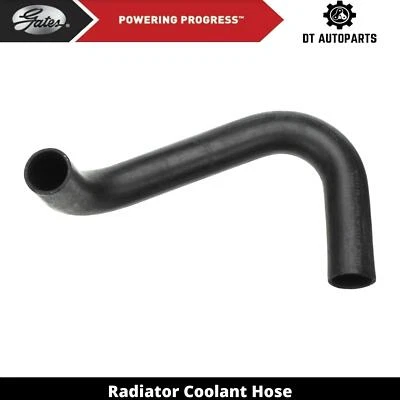 For 1966 GMC PB3500 Van 4.1L L6 GAS Radiator Coolant Hose Lower Gates - Image 1 of 4