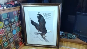 John E. Bradley gerahmtes Weißkopfseeadler Bild, 18 1/2 x 22 1/2! - Bild 1 von 12