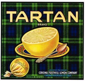GENUINE CITRUS CRATE LABEL TARTAN CORONA SCOTTISH RIVERSIDE C1930S VINTAGE  - Picture 1 of 1