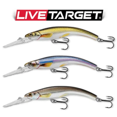 LIVETARGET 1 Lure Live Target Rainbow Smelt Banana Bait Deep Dive - RSB Trolling Crankbait