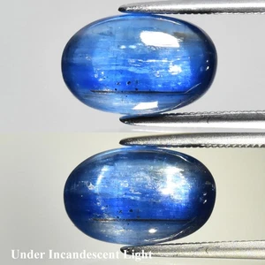 💎 4.48ct Oval Cabochon Natural Blue Cat's Eye Kyanite - Untreated Sri-Lanka Gem - Bild 1 von 6