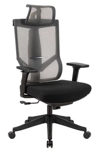 High Back Mesh Office Chair with Headrest, 4-Level Lock Recline, Ergonomic - Picture 1 of 12