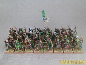 Warhammer AOS WDS painted Wood Elf Glade Guard b48 - Picture 1 of 17