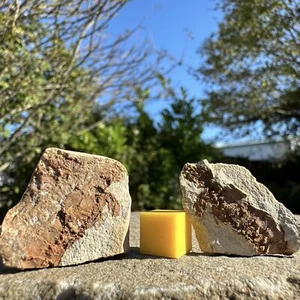 Preservado en piedra: camarón fosilizado desenterrado de nódulos antiguos - Imagen 1 de 3