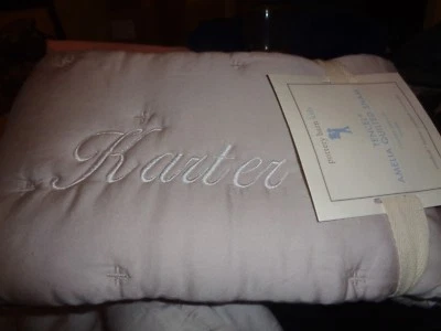 Pottery Barn Kids Amelia Tencel Quilted sham standard Dusty Rose mono KARTER New - Image 1 of 2